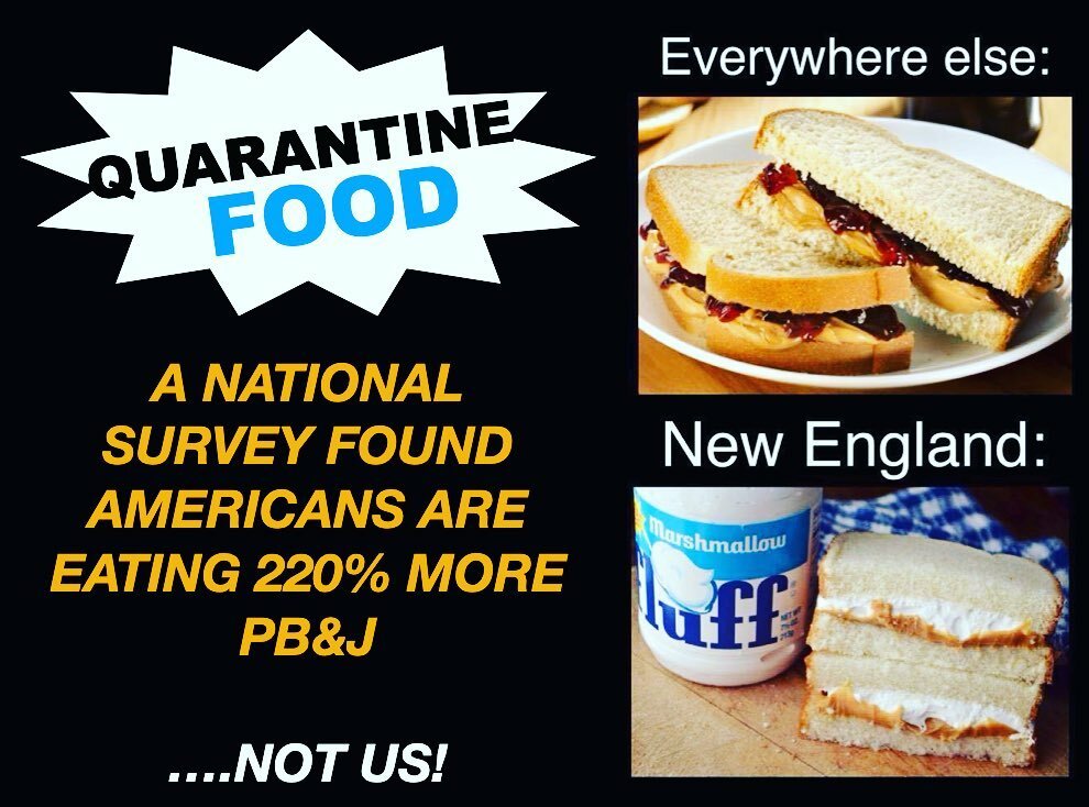 MaineVibeMedia's tweet photo. Gimme the fluffah! #Maine #NewEngland #fluffanutta https://t.co/pd4UHXTXPX https://t.co/ZiuFKuDCtE