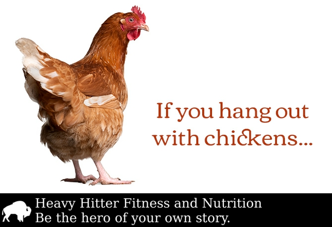 ...you're going to cluck and if you hang out with eagles, you're going to fly.” - Steve Maraboli