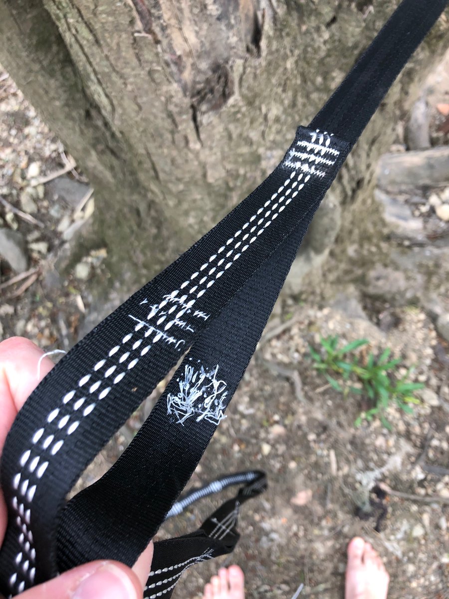 deisengard's tweet photo. Very disappointed in these Guidesman “brand” hammock straps from @Menards. Bought them less than a year ago. Supposedly rated for 200lbs each, but the stitching on both failed under less than half that weight today. Potentially a real safety hazard. #hammock #genericbrand #fail https://t.co/jh3sRkc2hh