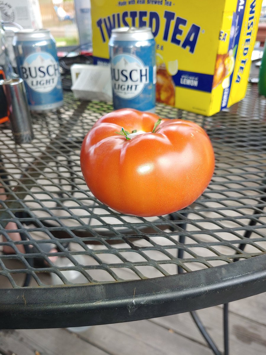 spagoobs's tweet photo. Damn she dummy thicc https://t.co/Kvo6Ztg5kL