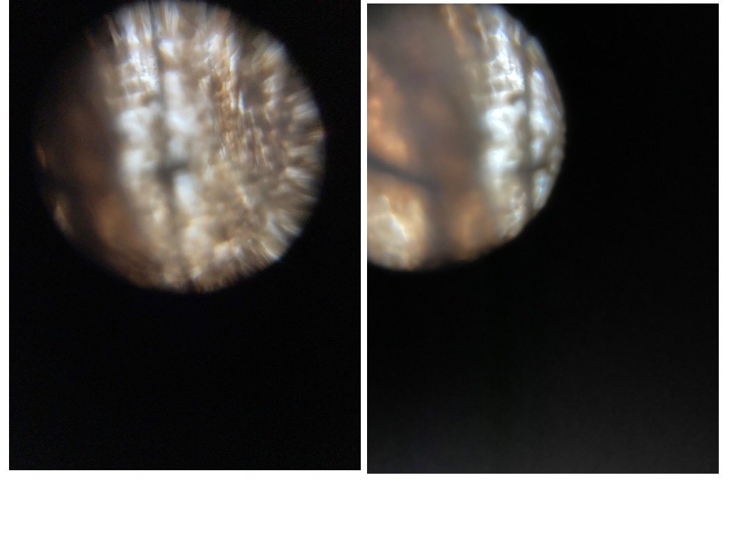 inyourwindow212's tweet photo. This student really has a good eye for the details ! She used a decayed butterfly to study with her @TeamFoldscope for this week’s assignment ! She focus on the wings of the butterfly and was able to depict the pattern found on the organism 🦋 @PICKeducation #pickedu #montessori https://t.co/HCFFvW6615