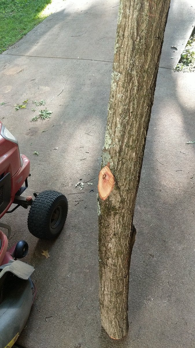 F3Hoover's tweet photo. @F3PainRuck the twig has been upgraded.  #SYITG #RH4ABW https://t.co/7h3Frd07Bt