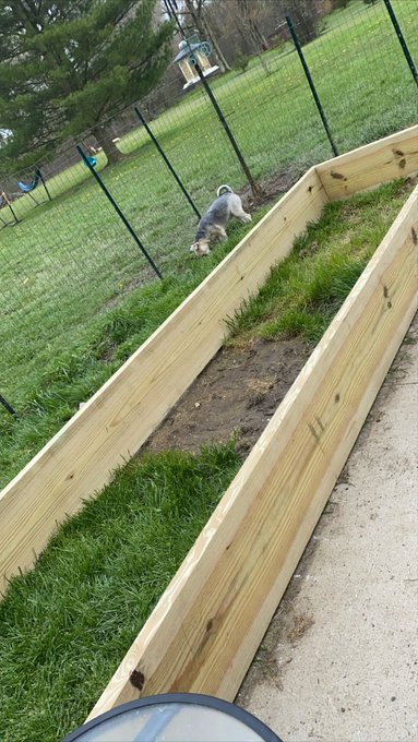 Brb living my best farmer homesteading life lol https://t.co/8yPSHRD3VJ<a href="/tag/ssbbw"class="tags"><span>#ssbbw</span></a>