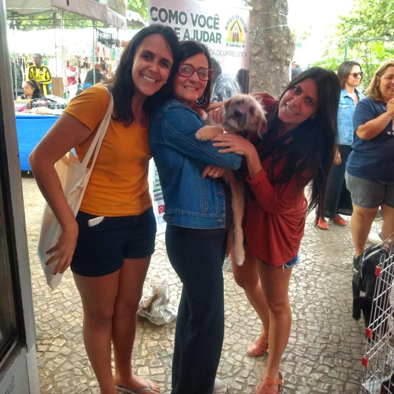 abrigojoaorosa's tweet photo. Sobre a adoção da Olinda 😍
[THREAD]

Olinda, nossa pequena ursinha, é mais uma integrante da família Supervia. E, como tudo nessa família, as viagens seguem rumos inesperados. https://t.co/XxmDrCp5Fk