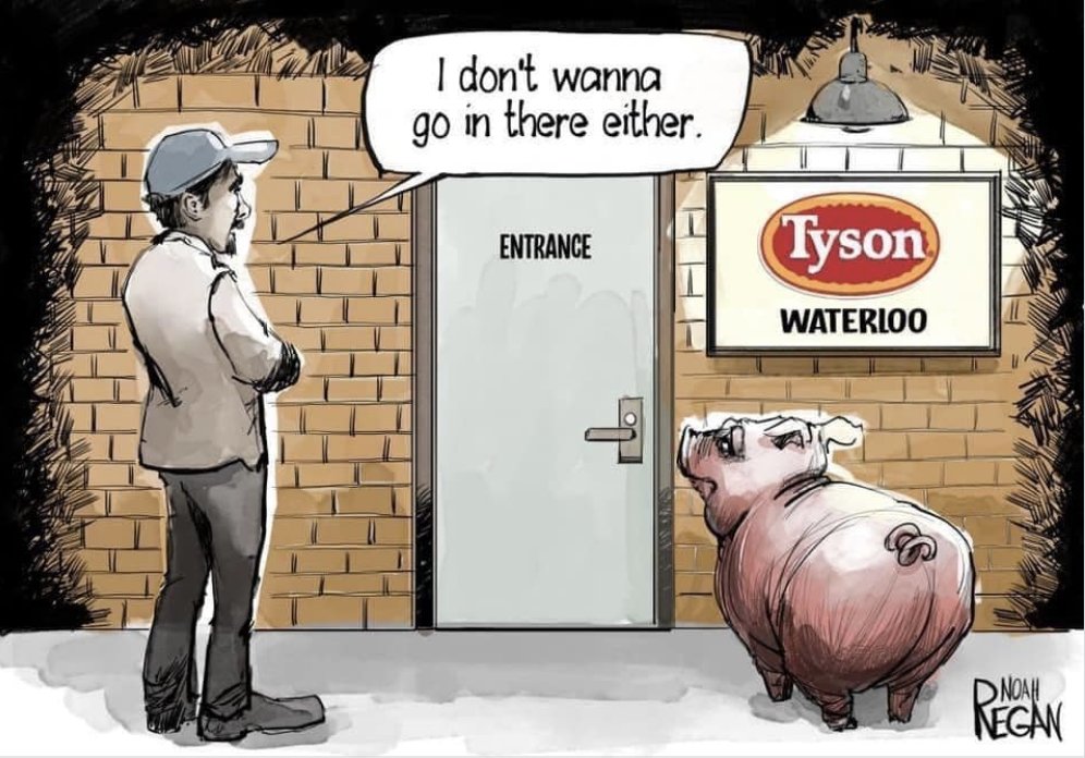 IngridNewkirk's tweet image. One will definitely be killed, the other may be too given conditions inside these disgusting houses of horror.