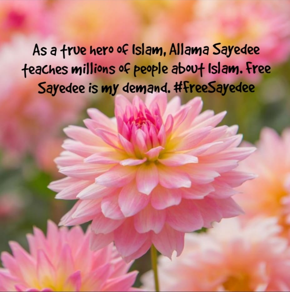 BinteShefa's tweet photo. #FreeSayedee
#SaveBangladesh https://t.co/oi3mm0IYGa