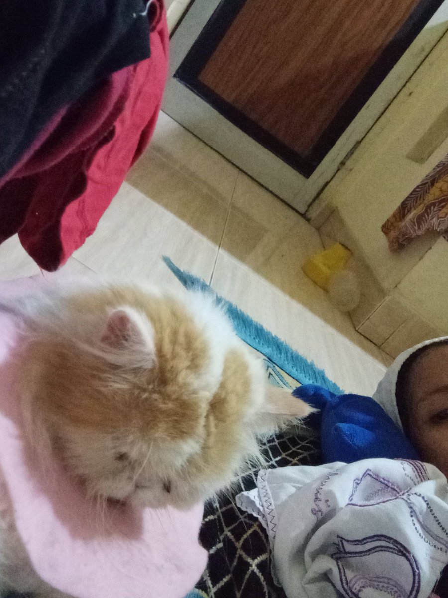 Iikmoning's tweet photo. Selalu manjaaahhh https://t.co/KXYl2rZT9x