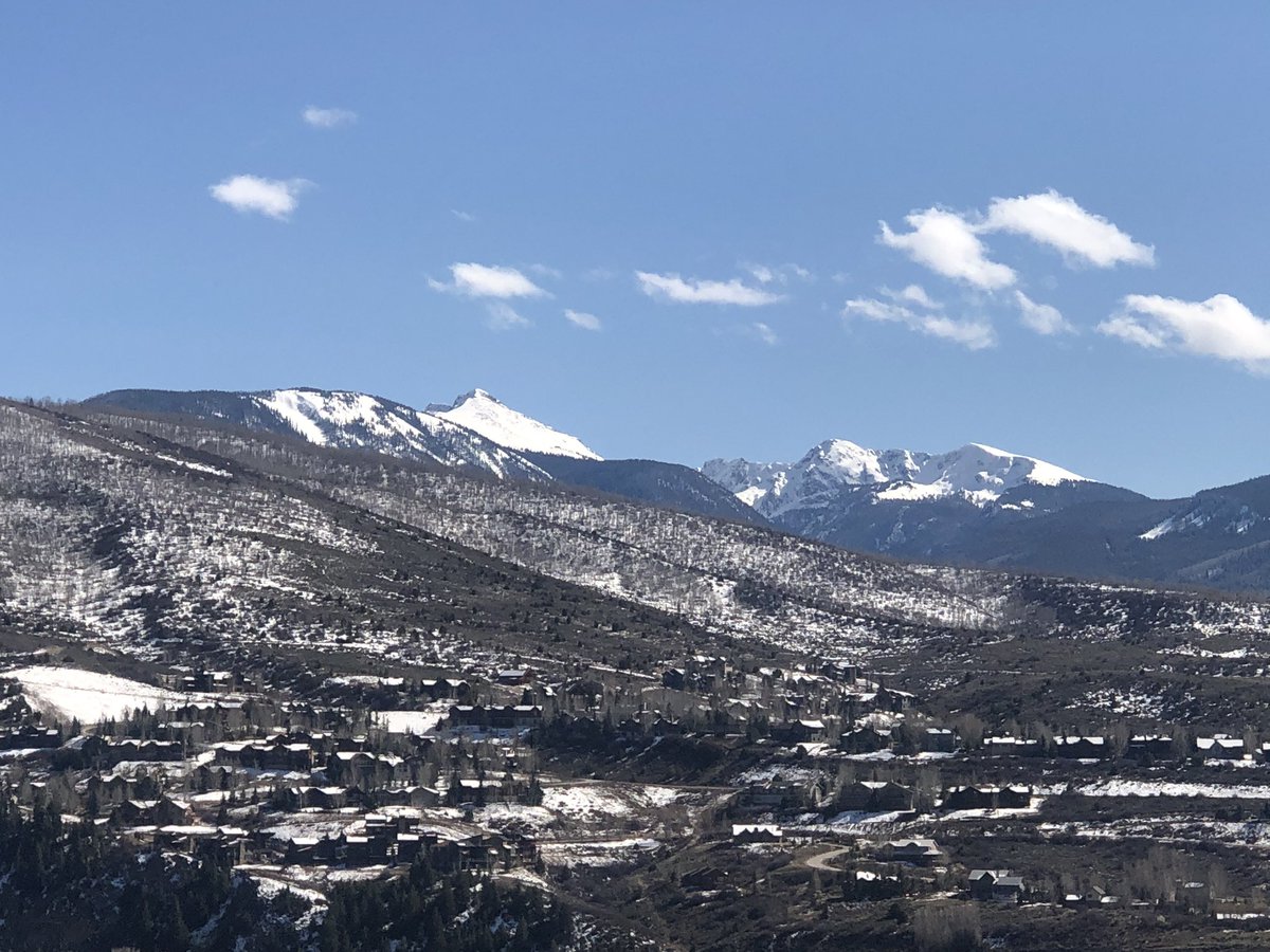 Steven B. Singleton tweet media