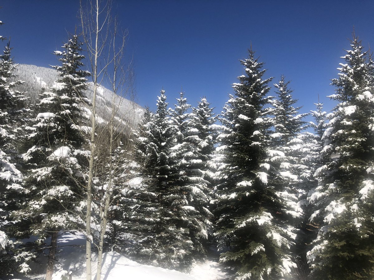 Steven B. Singleton tweet media