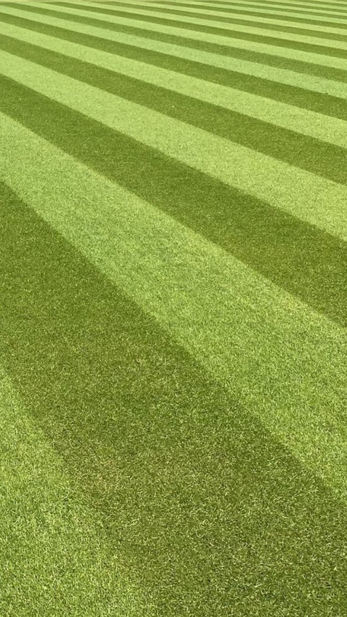 EndmoorKGRFC's tweet photo. #WoodsideRoad is looking well #carpet https://t.co/HQVEvuJnzH