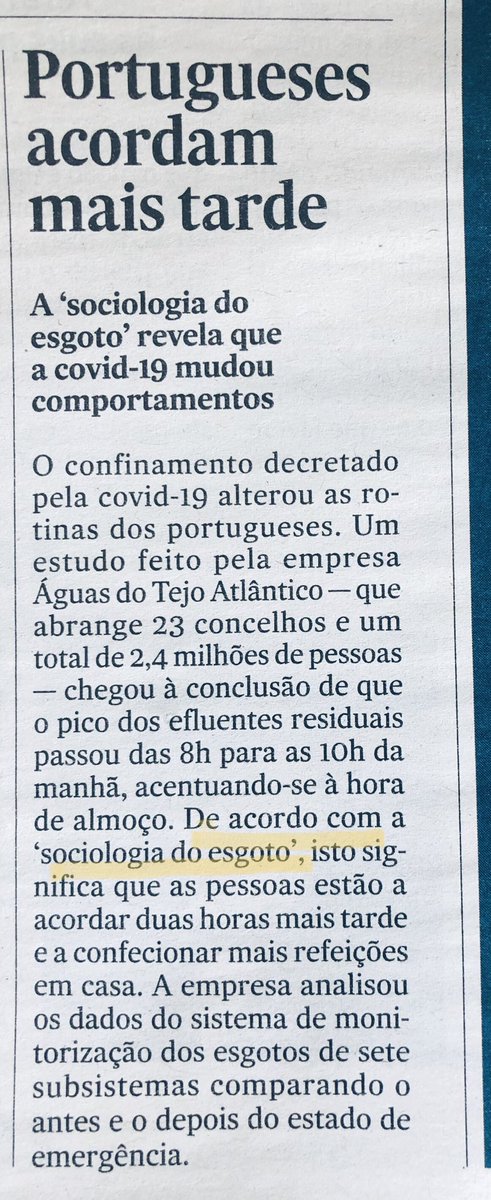 Carlota Louro tweet media