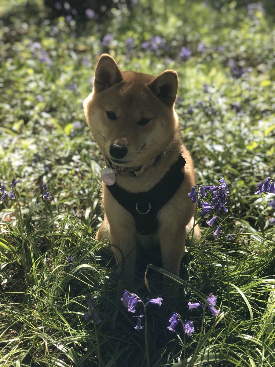 Rhonda Sturley tweet media