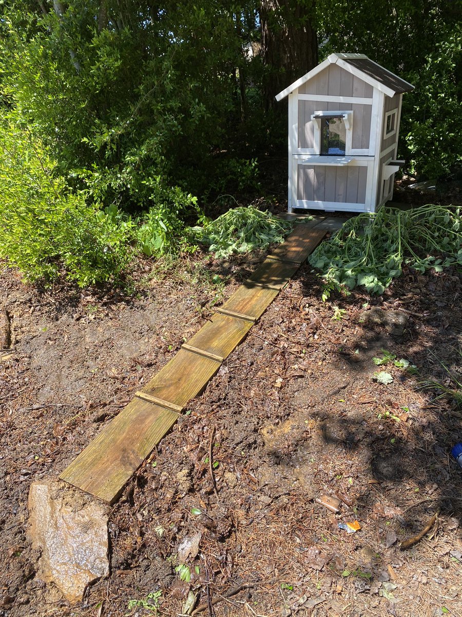 As I sit here and admire my #Quarantine project - building a cat condo with a sidewalk and catnip landscaping, a thought hit me...I’ve probably been single too long. #QuarantineCats