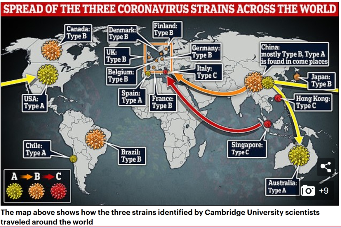 Aber Hallo, das schlimmste steht DE erst bevor und davor will er uns schützen !
Siehe Bild der 3 Corona-Typen A,B,C (C ist in Italien mit >10 % Toten!)
Ein behutsames und mit FFP-masken geschütztes Vorgehen würde gehen !
Aber dafür hat die Politik und das RKI nicht vorgesorgt!😉