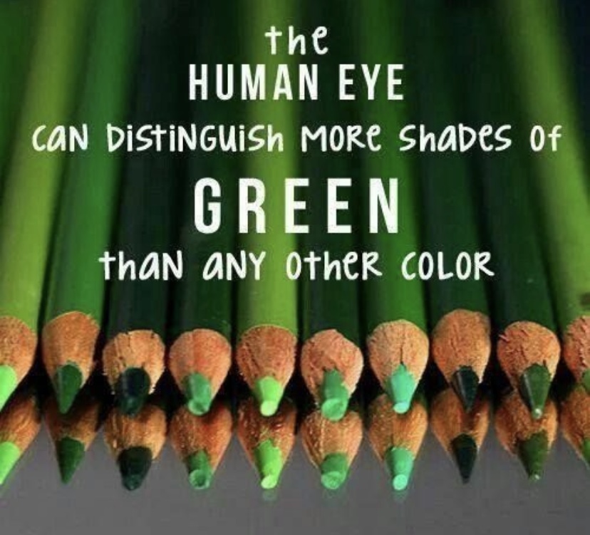 evea2020's tweet photo. Did you know? What’s your favorite color? https://t.co/p5NCB3ZOZn