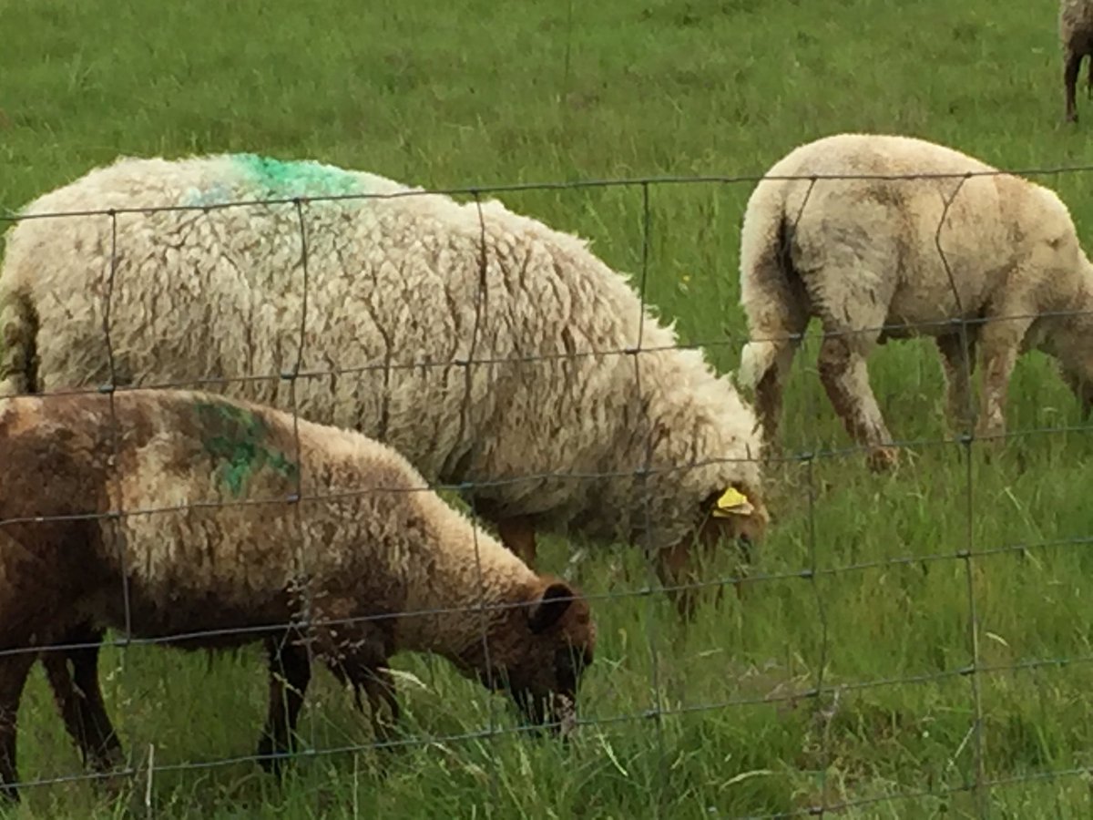 @lessourcesdecheverny soutien aux agriculteurs #loiretcher #soutienlocal