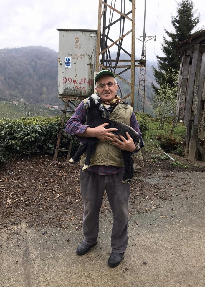 sidikaorene's tweet photo. Yerime başka bi minik kuzu sahiplenen minik babişim için tarkandan kuzu kuzu istiyorum 🙈 #açıradyo10 https://t.co/Orykt6vhmX