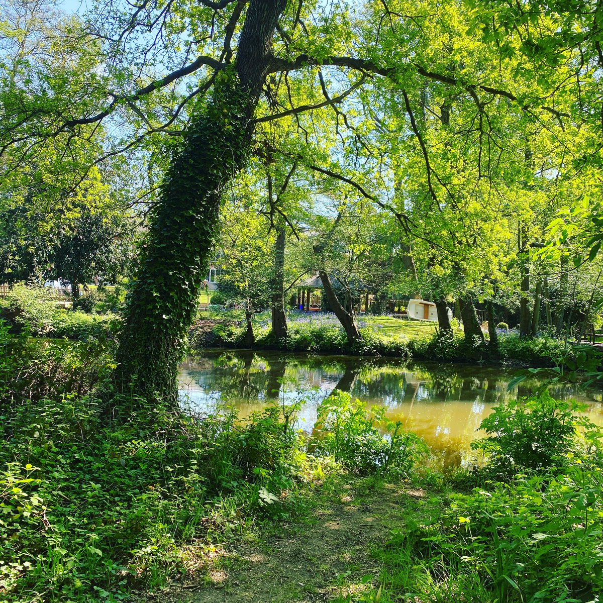 Happy #SurreyDay from a lovely sunny Weybridge ☀️😍