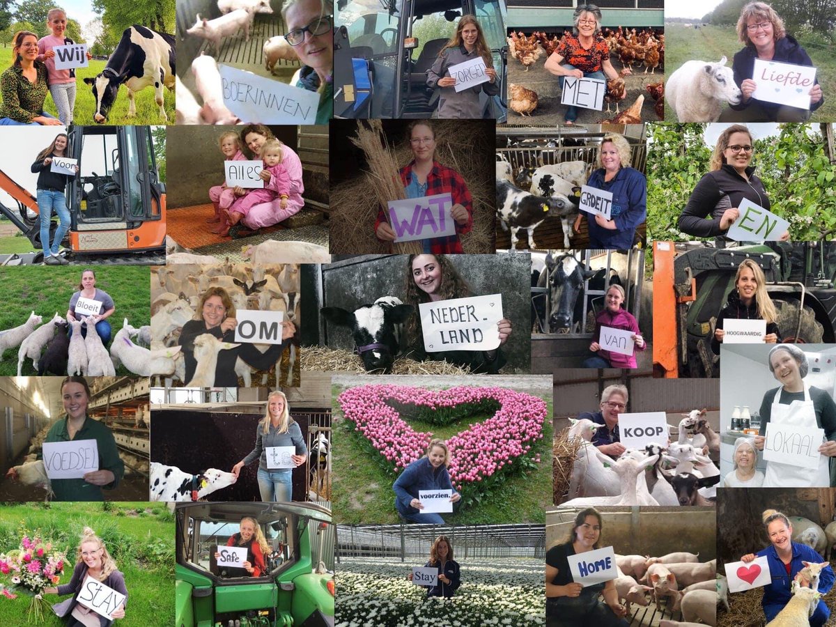 boerbewust's tweet photo. Mooie boodschap van onze boerinnen:  “Wij boerinnen zorgen met liefde voor alles wat groeit en bloeit, om Nederland van hoogwaardig voedsel te voorzien. Koop lokaal!” #boerinnenvanNederland #foodheroes #kooplokaal #staysafe #Supportyourlocals #stayhome #Covid19NL #corona https://t.co/Xe759tk3Gg