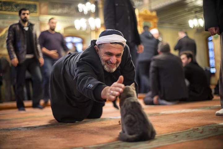 ArabicBest's tweet photo. أن الله إذا أحب عبداً رزقهٌ لين القلب  💗 https://t.co/stb4VsVhCT