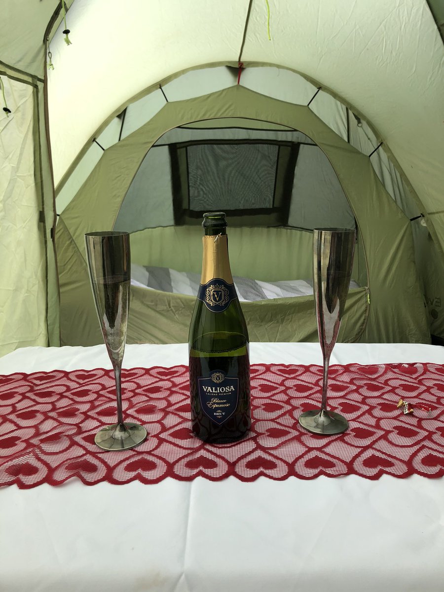 Sharon Smith 🌳🍃 tweet media