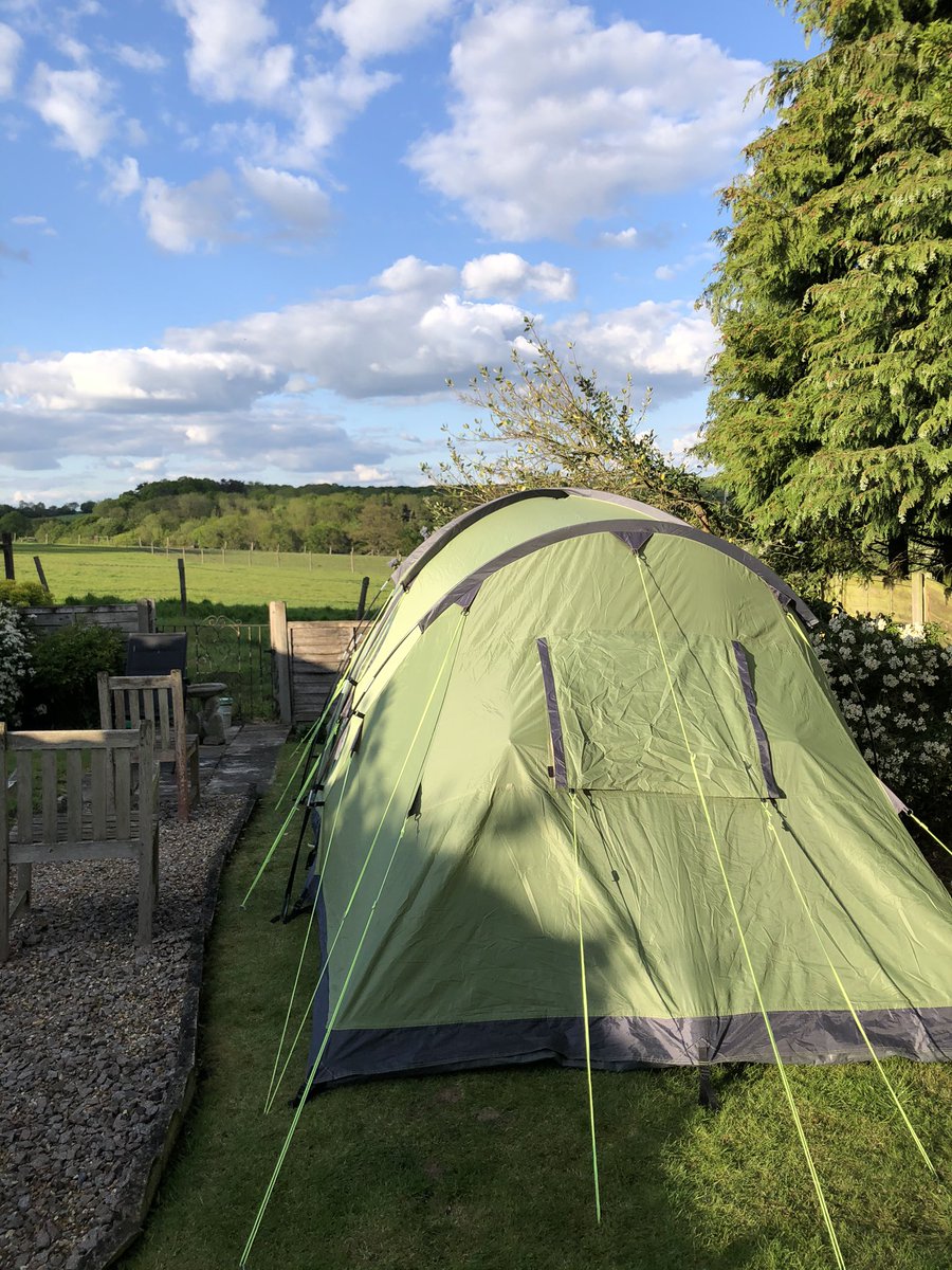 Sharon Smith 🌳🍃 tweet media