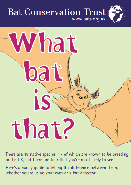 _BCT_'s tweet image. If you are bat watching in your garden this evening, you can use our FREE "What Bat Is That?" leaflet to try and guess which species you are seeing  cdn.bats.org.uk/pdf/Resources/…
#batwatch #wildlifefrommywindow #NationalGardeningWeek