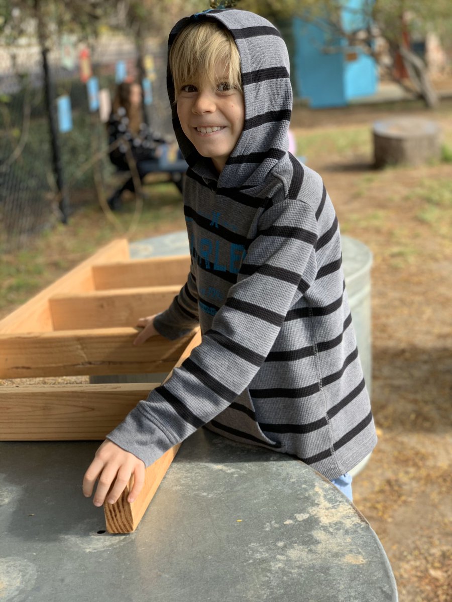 Dani Phillips tweet media