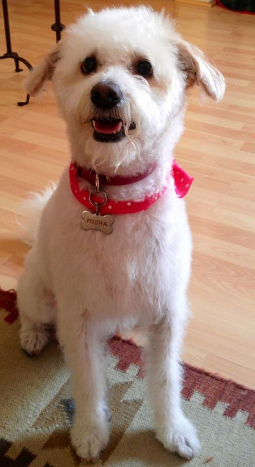 Magda Giner tweet media