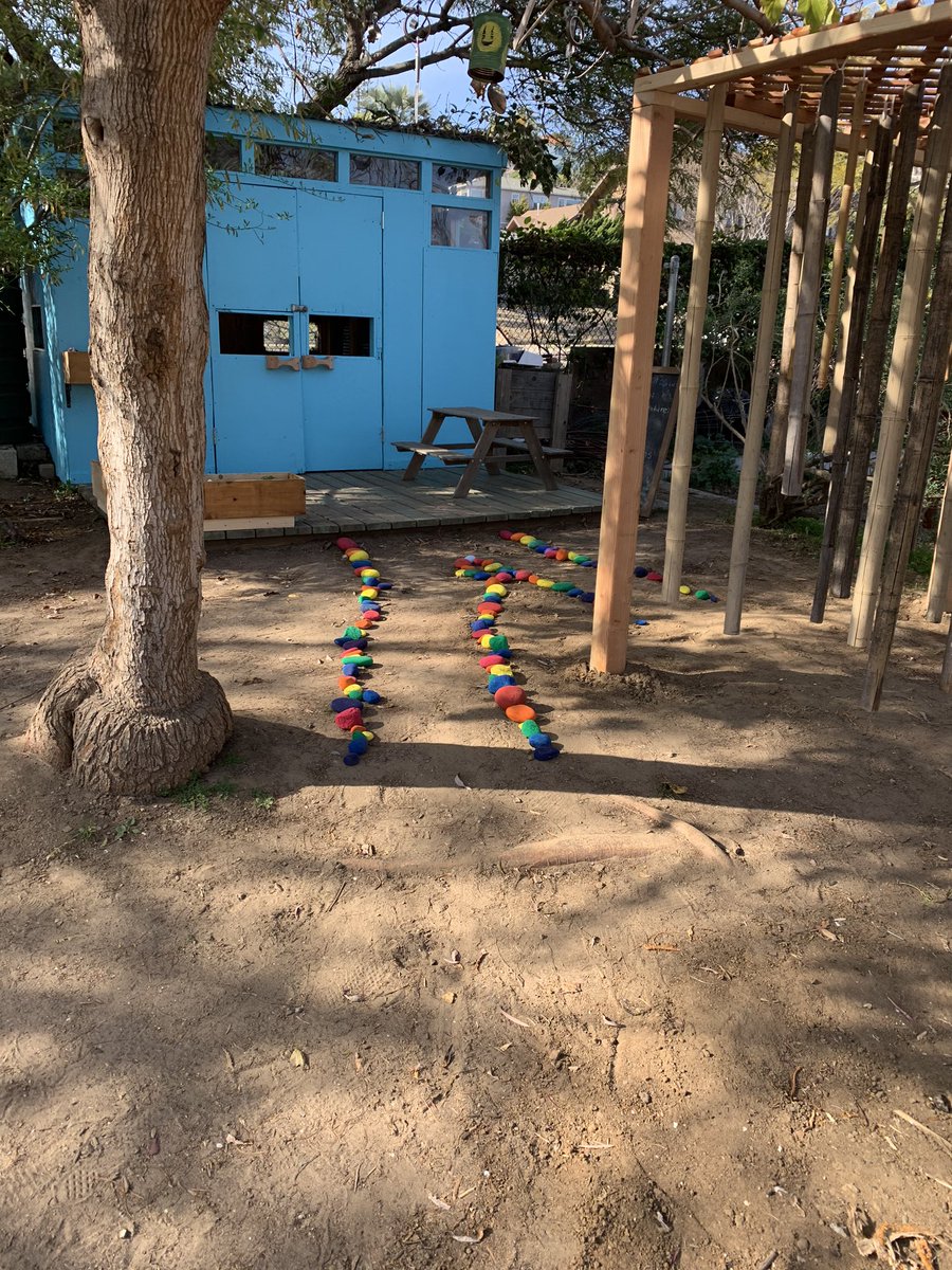 Dani Phillips tweet media