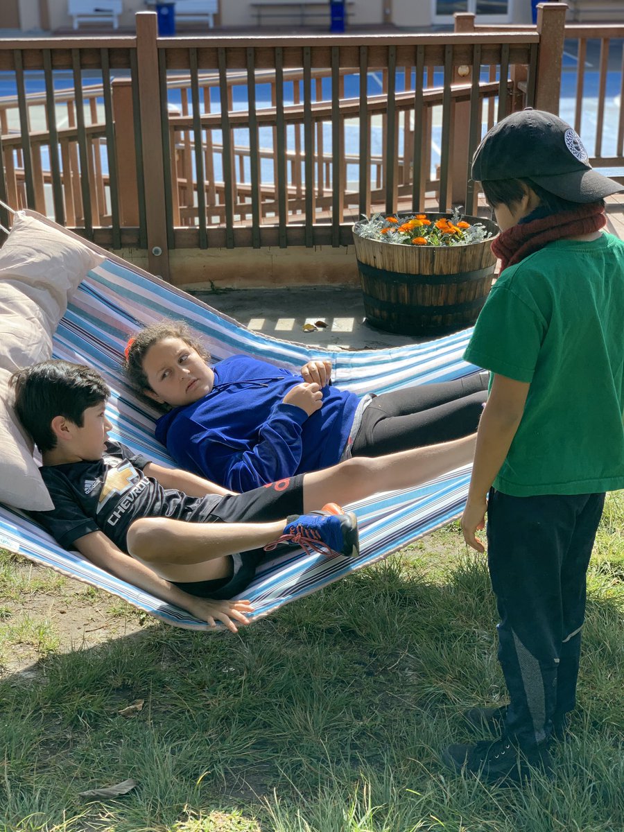 Dani Phillips tweet media