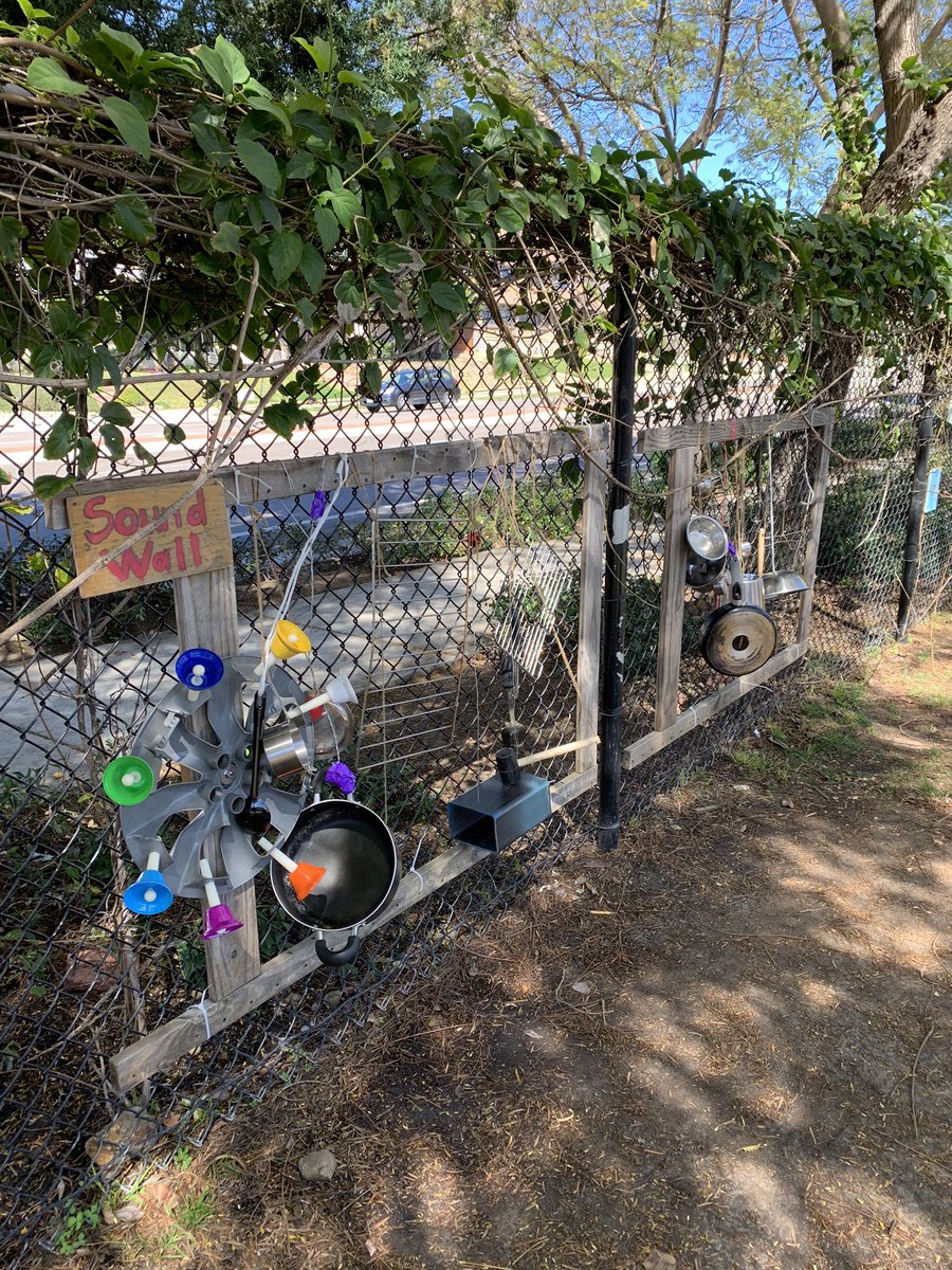 Dani Phillips tweet media