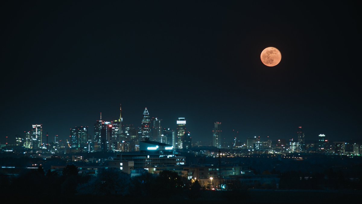 maxluedi tweet media