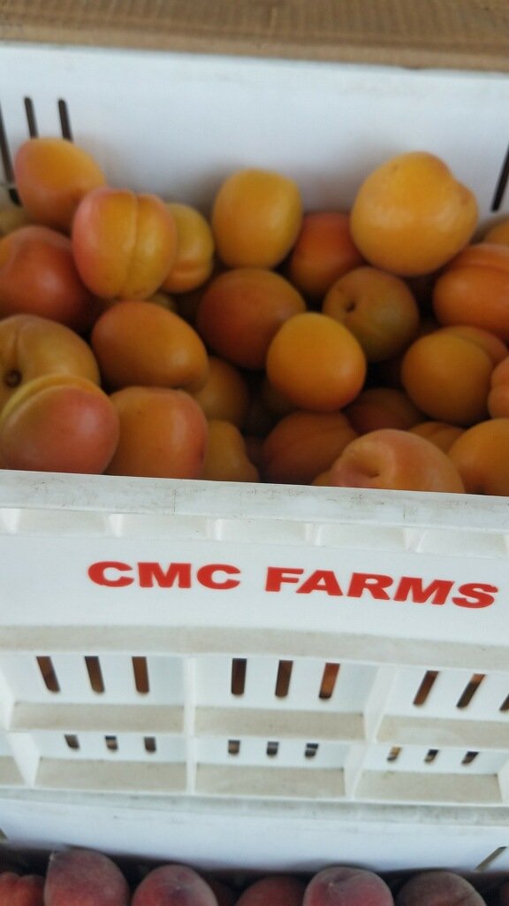 CMCFarms's tweet photo. River Park Farmers Market in Fresno. Come join us 10am-3pm. We got apriums, mulberries white and yellow peaches, and sour plums.
#CAgrown #SupportLocalFarms #Freshno https://t.co/IiUq1R4OSZ