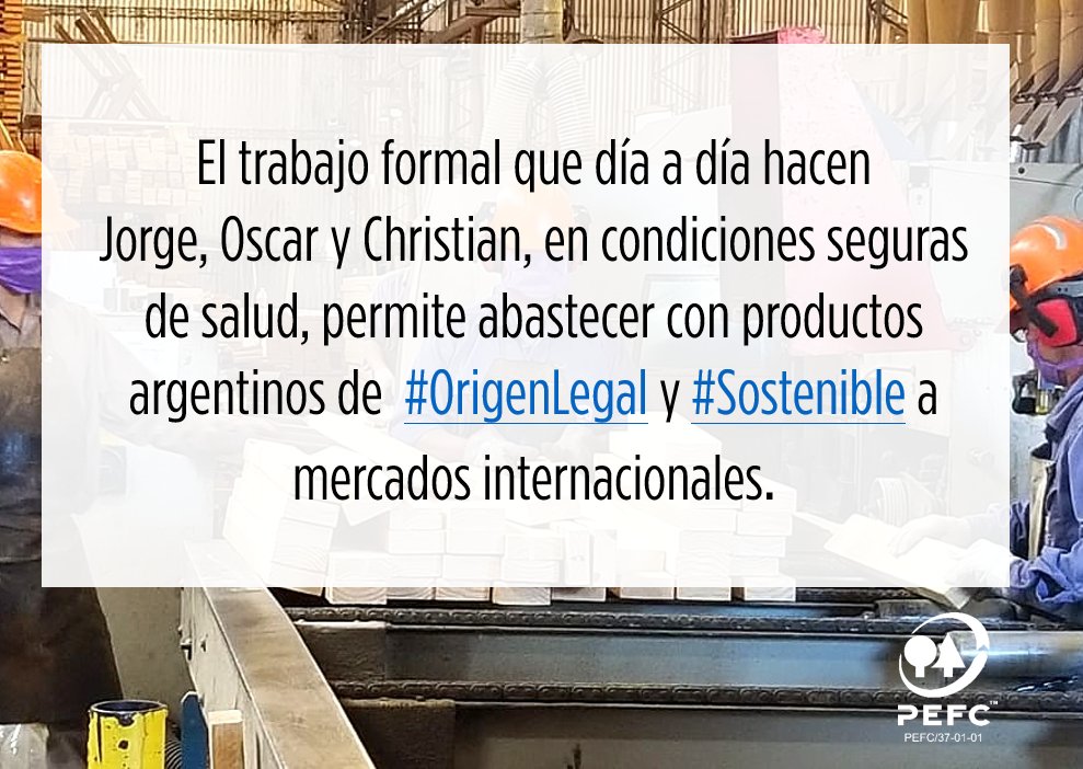 CERFOAR's tweet photo. 📎Más historias de #trabajo para compartir:
👷♂️👷♂️👷♂️Jorge, Oscar y Christian, área de remanufactura
#CadaTrabajoSuma
#PEFCtuelecciónresponsable
#20yearsofcaring https://t.co/eC54HiBIPT