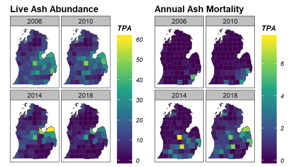 Check out our recent paper on the new #rFIA package (doi.org/10.1016/j.envs…)! We use rFIA to assess space-time patterns of Michigan ash decline – with data from 400,000+ plots across the US, opportunities are endless!
#rstats  #foresthealth #foresttwitter #publicationalert