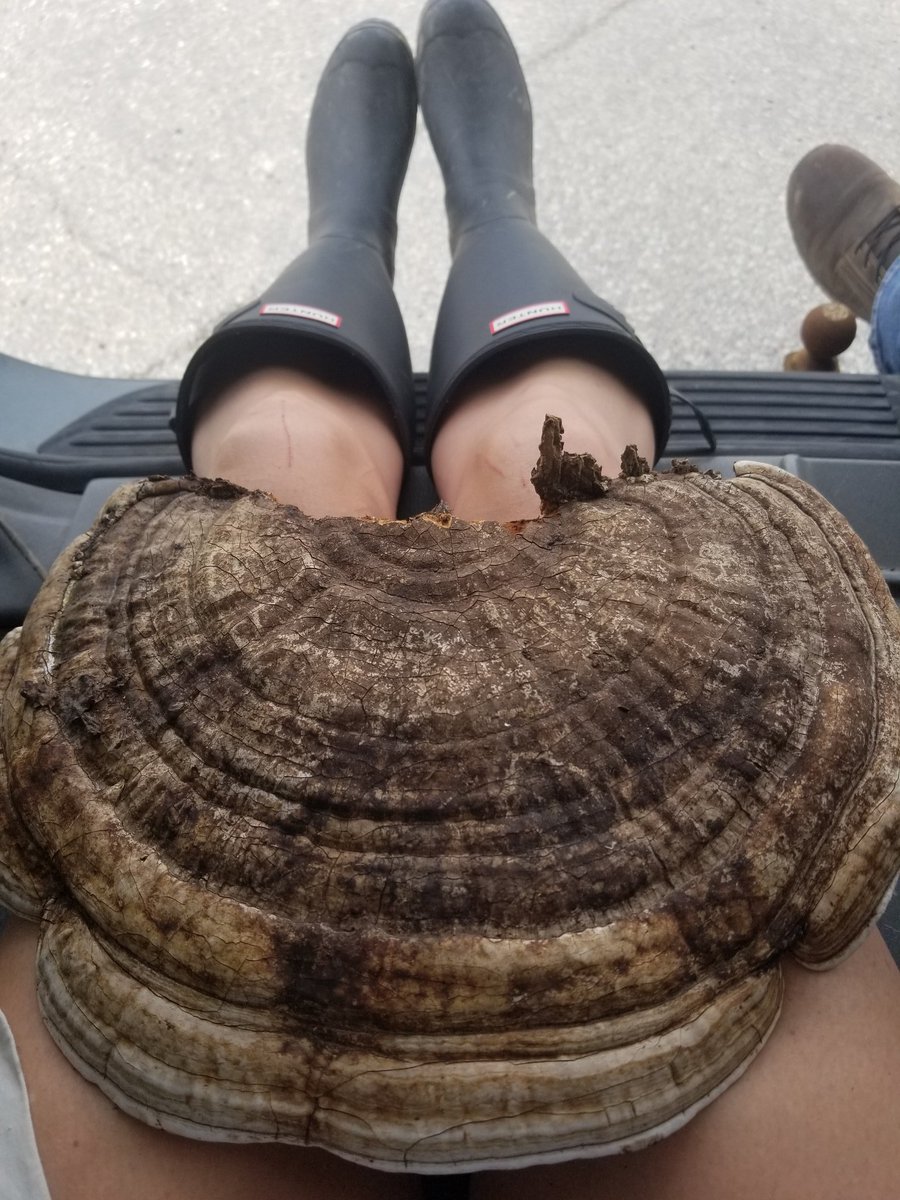 Amber Kalishek tweet media