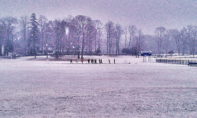quwsoccercoach's tweet photo. Oh for @QU_WSOC to be training in these conditions right now. https://t.co/jfdPI1ACo3
