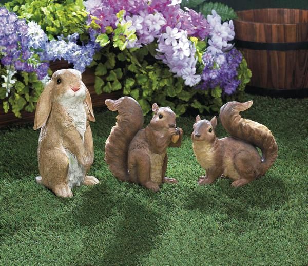 dodysonline's tweet photo. This adorable little bunny is curious about his surroundings. 
https://t.co/crKICo6Jlq https://t.co/bZmMRzeHzX