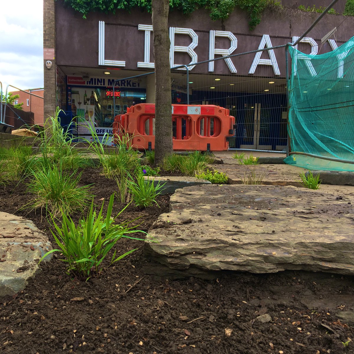 💚 the Green heart at the hub of Wood Green 💚

The beautiful green dreams are becoming community spaces in reality 💚

#LibraryGarden #ecoexist