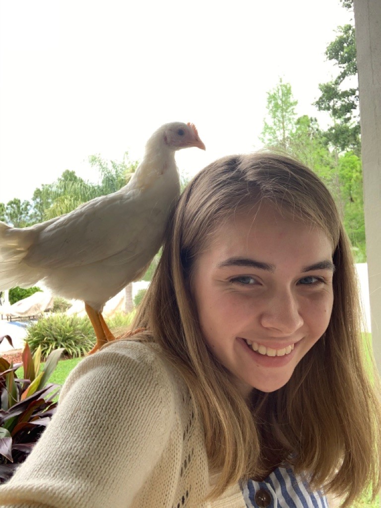 lakenonahigh's tweet photo. Lake Nona HS Agriscience Students continue to care for school pets as part of their Supervised Agricultural Experience (SAE).
@OCPSnews @hsdocps @johannaocps @UF https://t.co/APY4Ci5VPX