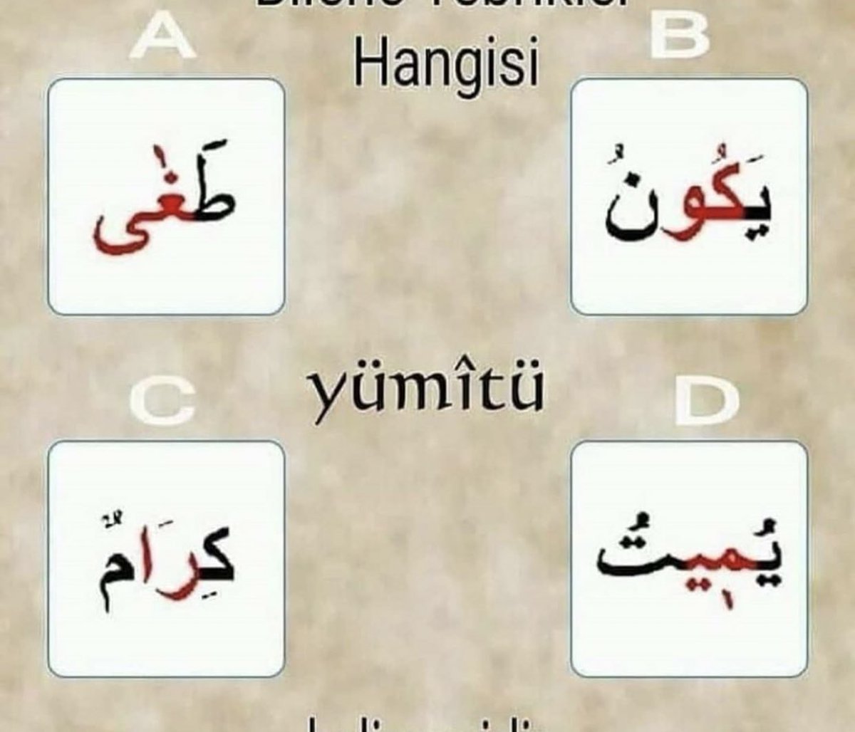 hulya_yrt's tweet photo. Yümîtü hangi şıkta yazılı? https://t.co/K5h3kvlkKV