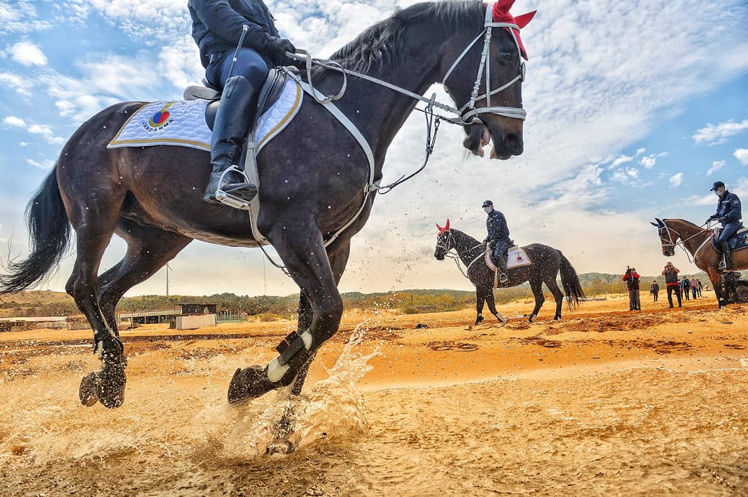 ibrahimmase's tweet photo. Koronavirüs ile mücadele kapsamında İl Jandarma tarafından görevlendirilen Atlı Birlikler, sahillerde denetim yapıyor #photojournalism #news #newphoto #sea #sky #bosphorus #horse #genderma #soldier #crew #jandarma #covid19 #covid_19 #covidturkey #covidworkout #covidworld https://t.co/sFTHCjTDl8