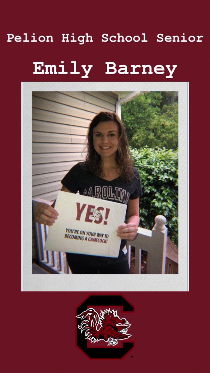 PelionCounselor's tweet photo. #DecisionDaySC ⁦@SCCANGO⁩ ⁦@SCCommHigherEd https://t.co/eVidfZOY2H
