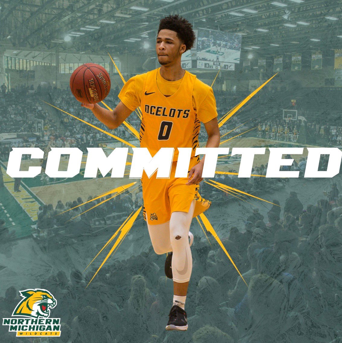 TreHarvey24's tweet photo. #COMMITTED 💚
The Beginning Of A New Chapter... 🐯
#NMU🔰 https://t.co/yMrengzuwa