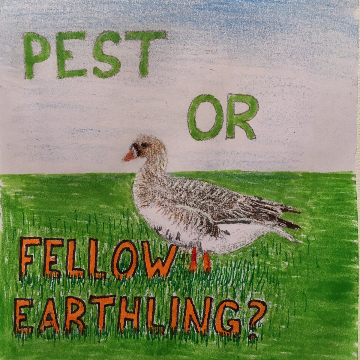 Lana_M_Vegana's tweet image. No animal deserves to be killed, no matter how “bad” they are for crops or other animals. #govegan #stopusinganimals #stopkillinganimals #stophunting #banhunting #banhuntingworldwide #goose #geese #bandejacht #stopmetjagen #gans #ganzen #kolgans #artivism