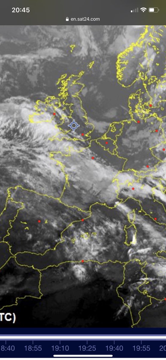 Stacey 🌻 tweet media