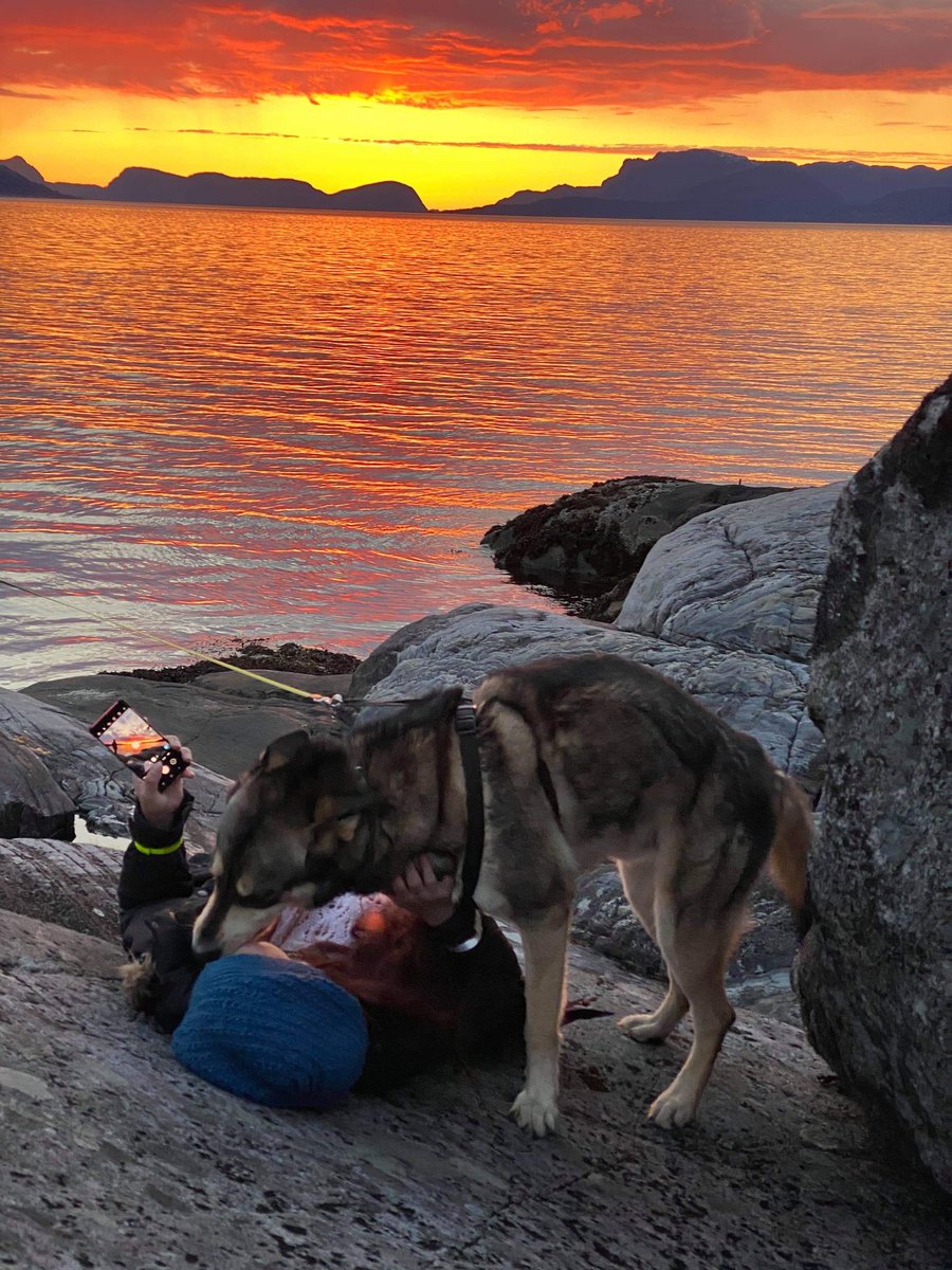 Isabelle Kristine tweet media