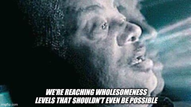 rubengees tweet media