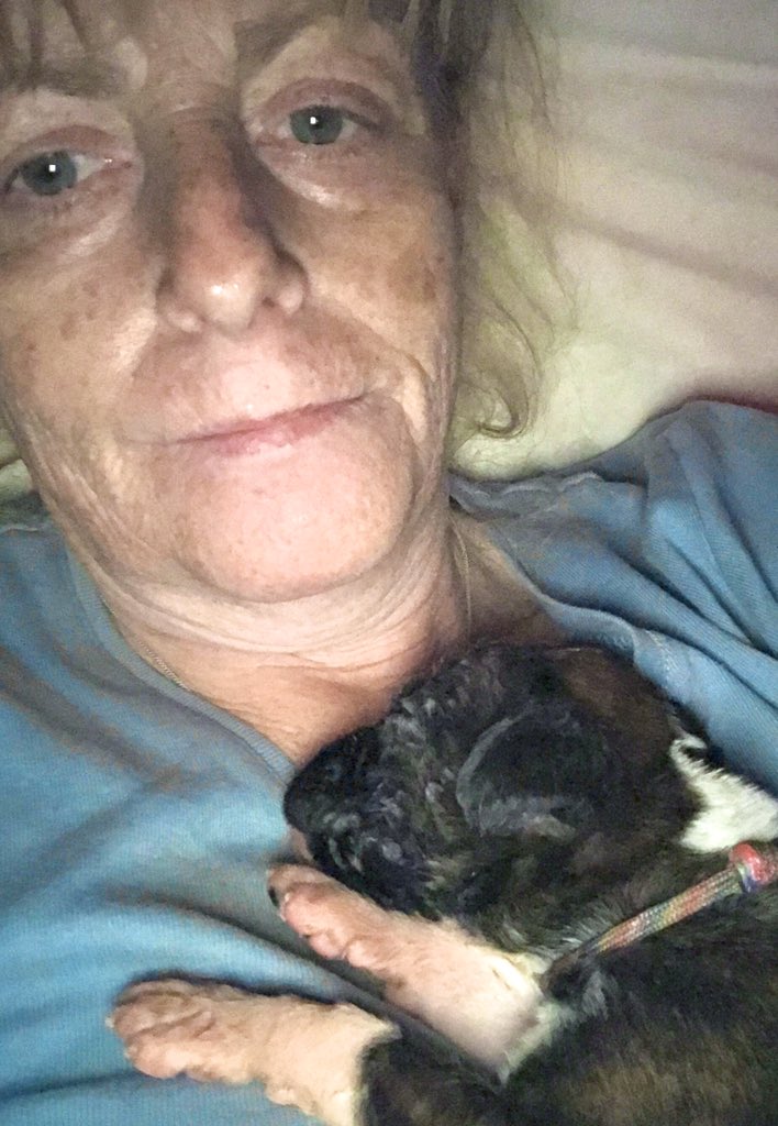Boxberry's tweet photo. Cuddle time with ‘Tiny’ 💜💜💜 https://t.co/f4IKVyxdzJ